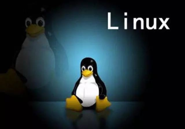 别小瞧了 Linux,安卓、华为的自研系统,均源自 Linux!
