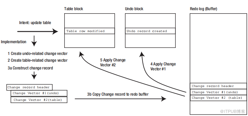 Oracle Redo And Undo Itpub博客