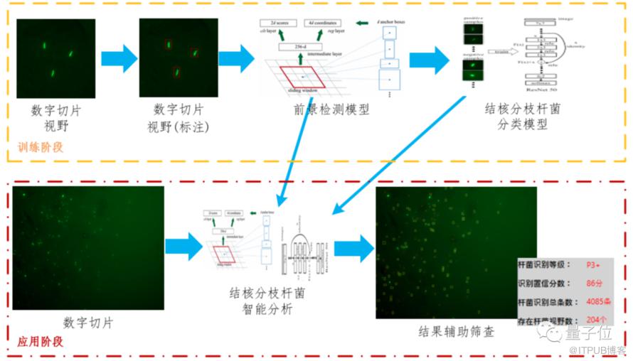 為了醫療AI，他們做出了一個“違背祖師爺”的決定