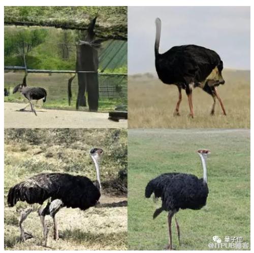 图片描述