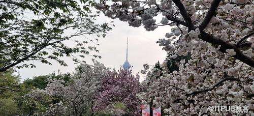 图片描述