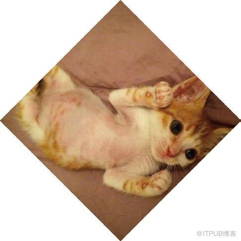 图片描述