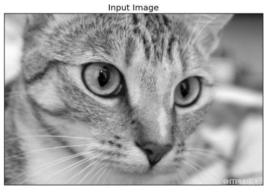 图片描述