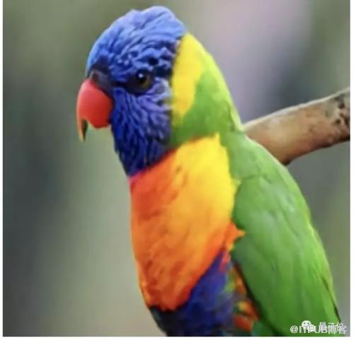 图片描述