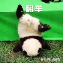 图片描述