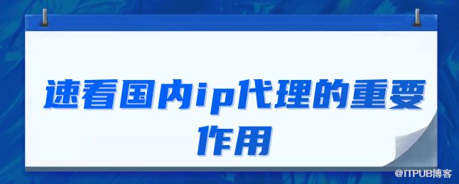 速看国内ip代理的重要作用.png
