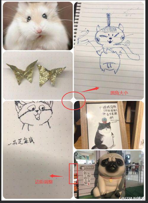 图片描述