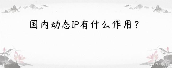 国内动态IP有什么作用？.jpg