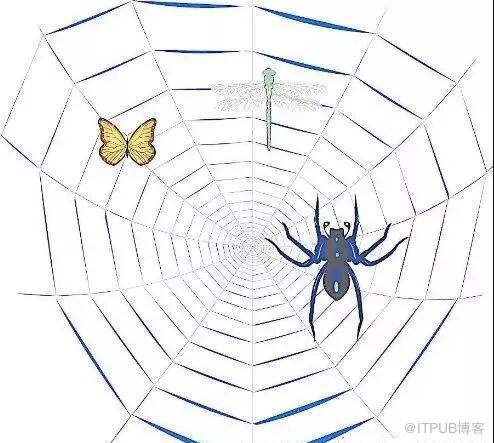 1590465194620399.jpg 01.jpg