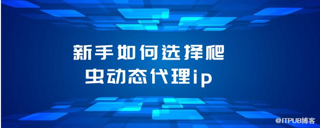 新手如何选择爬虫动态代理ip (2).png