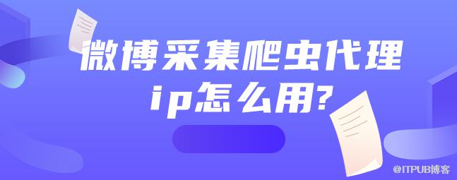 11..png