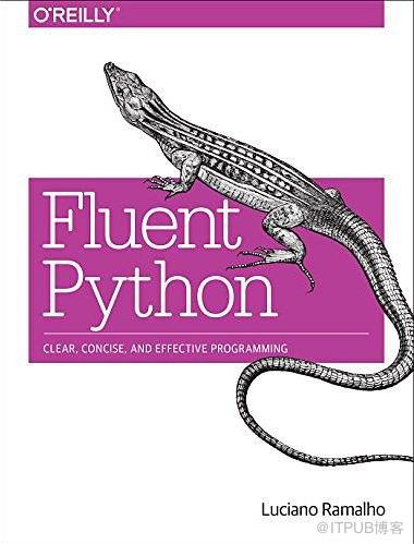 fluent python是什麼意思