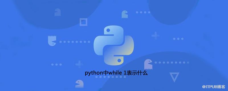 python中while 1表示什麼