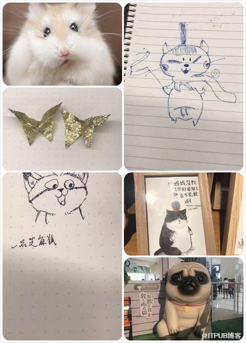 图片描述