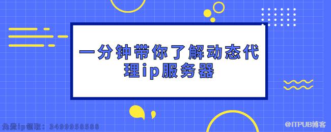 一分钟带你了解动态代理ip服务器.png
