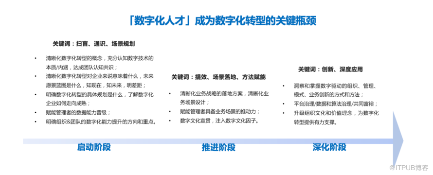 数字化转型中的关键人才培养