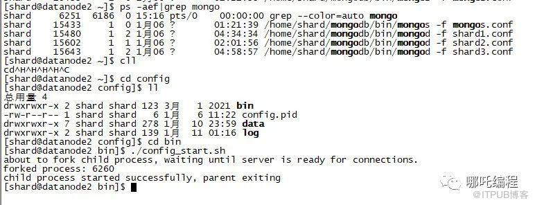 MongoDB資料庫效能監控看這一篇就夠了