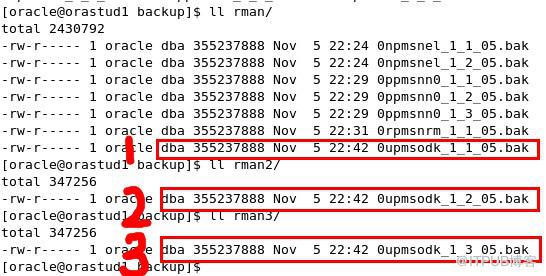 關於RMAN 備份片backup copies 和通道CHANNEL之間關係的總結