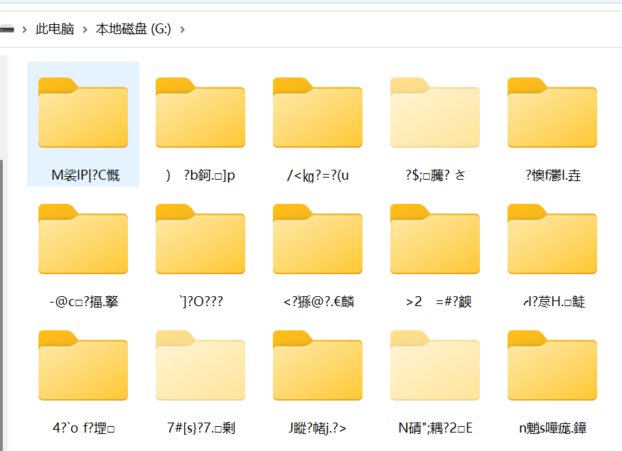 根目录文件名乱码：现象解析与数据拯救指南