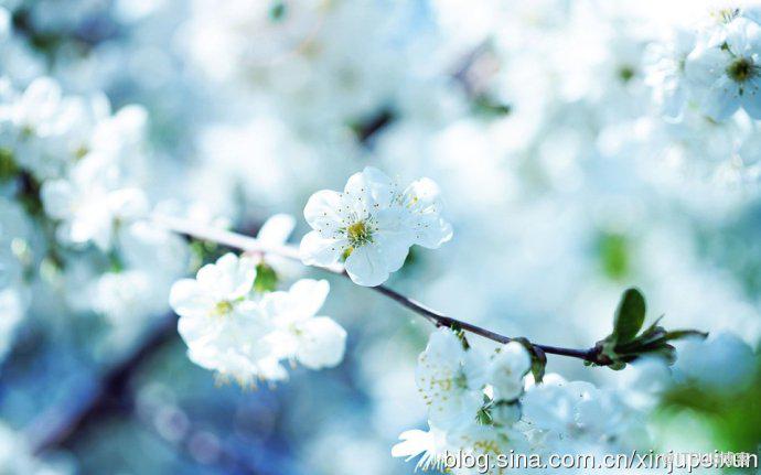 新炬学院Oracle&nbsp;<wbr>OCP&nbsp;<wbr>DBA认证过程