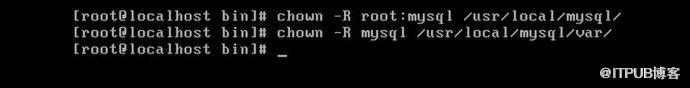 搭建MySQL数据库系统