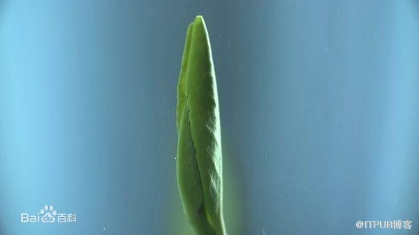金融的江湖&mdash;&mdash;《2014年大数据应用将在企业成为主流》_小荷才露尖尖角