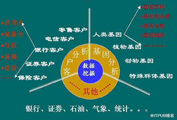 &ldquo;尿布与啤酒&rdquo;与数据挖掘技术