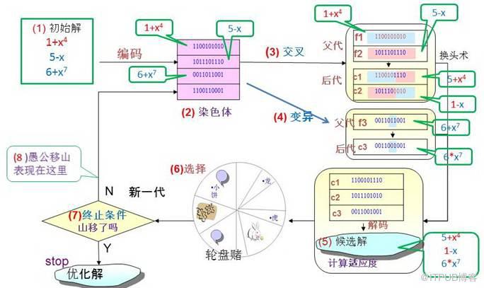 达尔文、孟德尔与老愚公的会盟:基因表达式编程--趣味数据挖之十 达尔文、孟德尔与老愚公的会盟:基因表达式编程--趣味数据挖之十