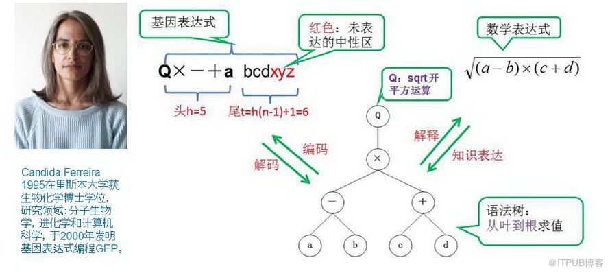 达尔文、孟德尔与老愚公的会盟:基因表达式编程--趣味数据挖之十 达尔文、孟德尔与老愚公的会盟:基因表达式编程--趣味数据挖之十