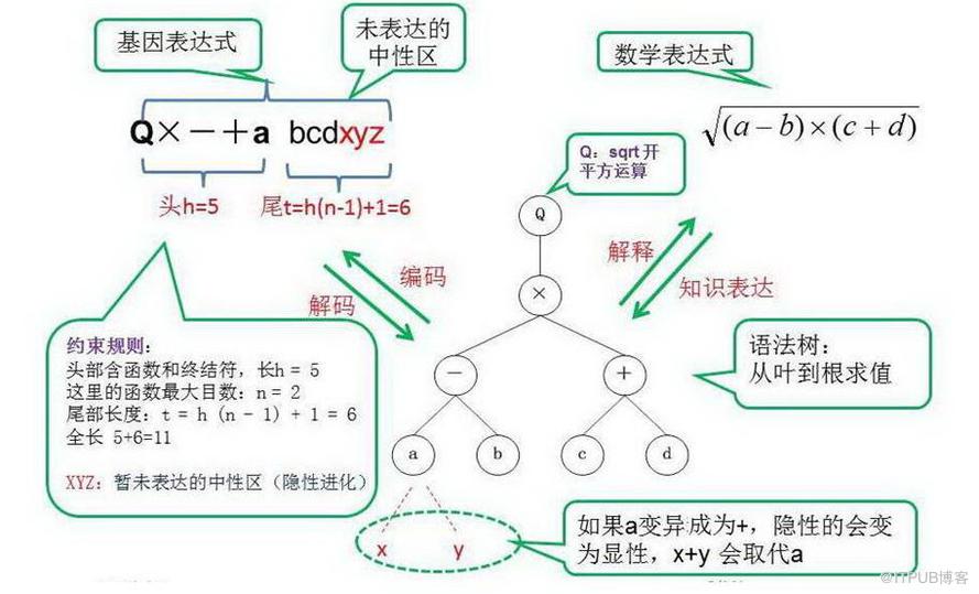 达尔文、孟德尔与老愚公的会盟：基因表达式编程--趣味数据挖之十